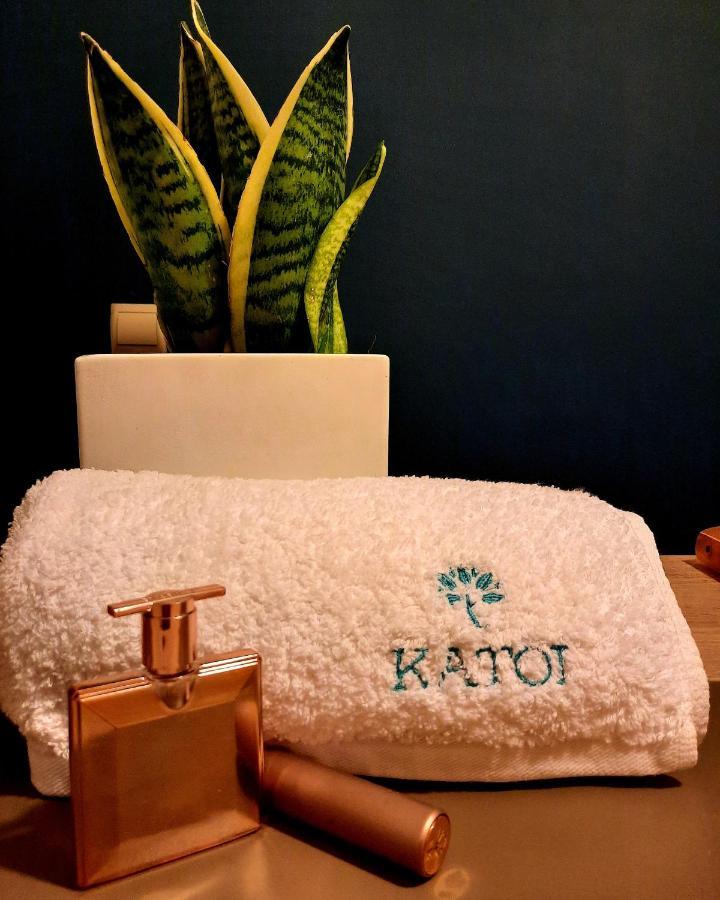 Katoi Traditional House Exo Khora Zewnętrze zdjęcie